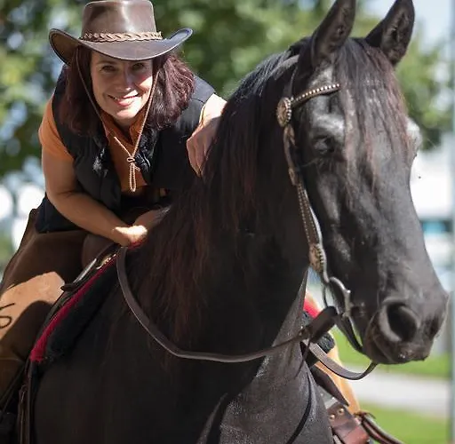 Couette-café Bnb Haag 4*