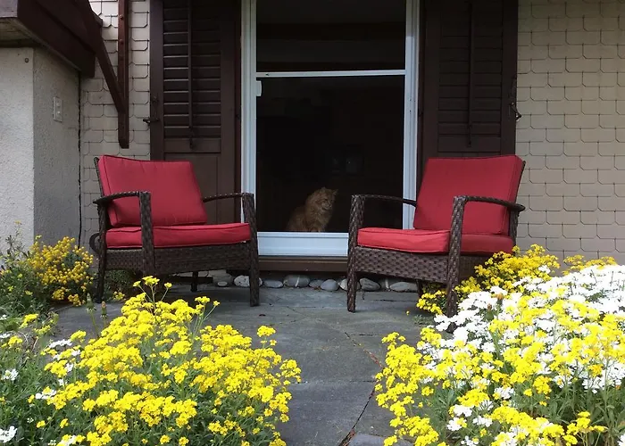 Bed and breakfast Bnb Haag Haag