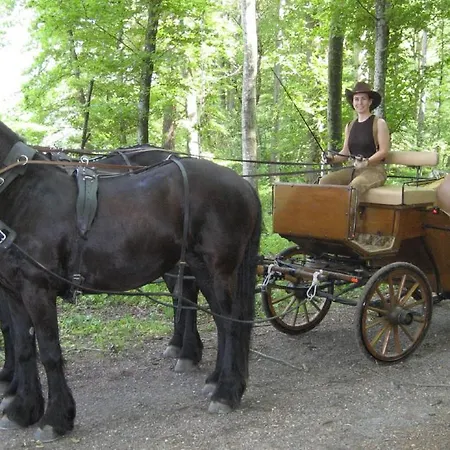 לינה וארוחת בוקר Bnb Haag