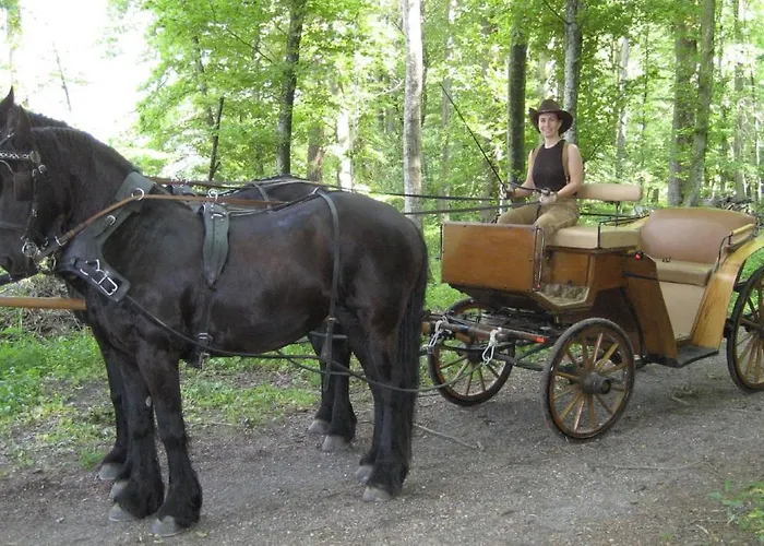 住宿加早餐酒店 哈格住宿加早餐酒店