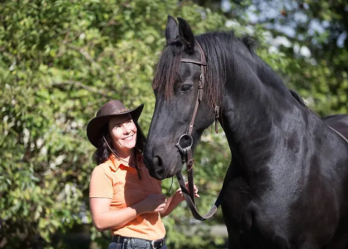 哈格住宿加早餐酒店 Haag
